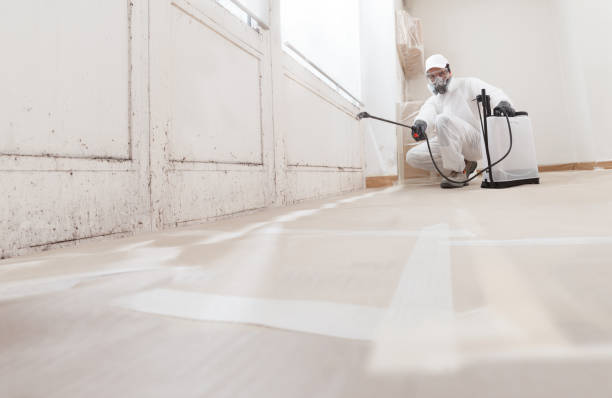 24/7 Emergency Mold Removal experts in Waynesboro, VA